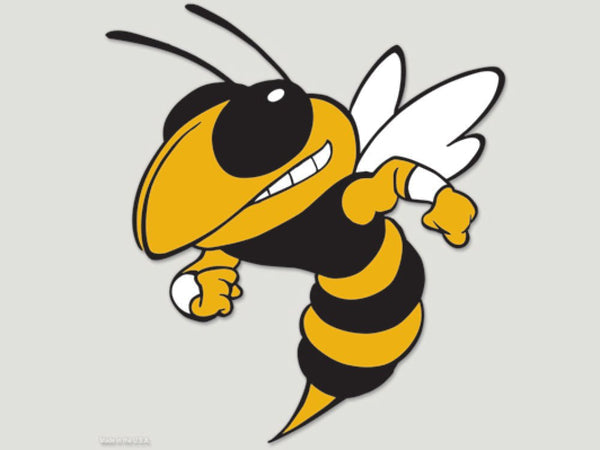 Wincraft NCAA Georgia Tech Perfect Cut Color Decal