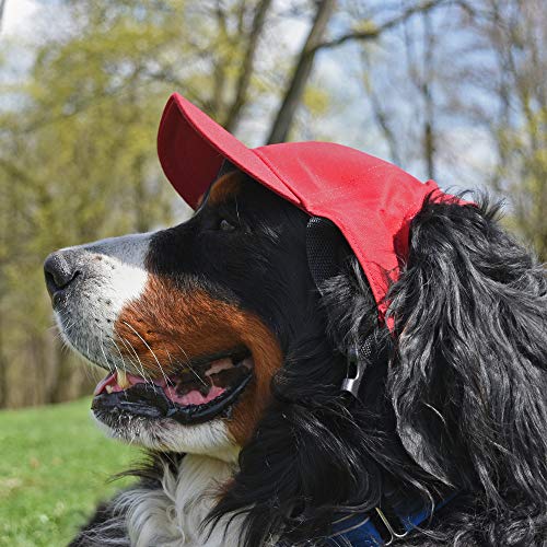 Littlearth Unisex-Adult NCAA South Carolina Fighting Gamecocks Pet Baseball Hat