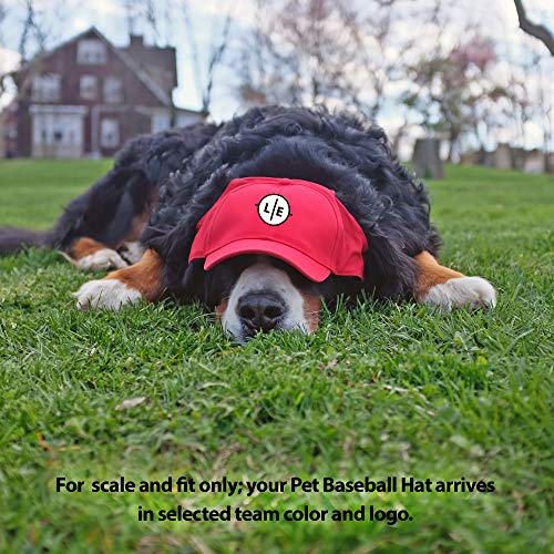 Littlearth Unisex-Adult NCAA South Carolina Fighting Gamecocks Pet Baseball Hat