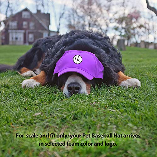 Littlearth Unisex-Adult NCAA Kansas State Wildcats Pet Baseball Hat