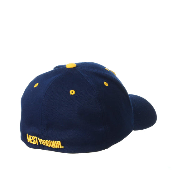Zephyr Men's Standard Stretch Fitted Hat Team Color