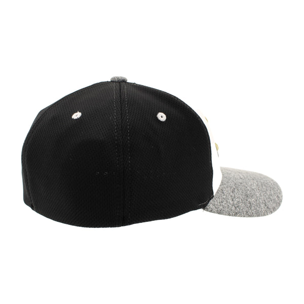 ZHATS Standard NCAA Officially Licensed Hat Fitted Ally