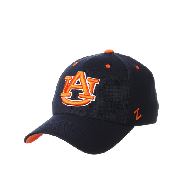 Zephyr Men's Standard Stretch Fitted Hat Team Color