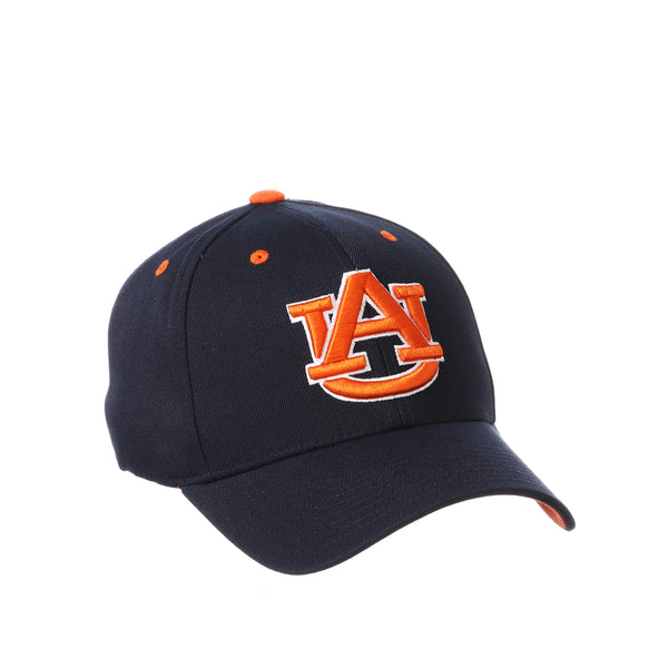 Zephyr Men's Standard Stretch Fitted Hat Team Color