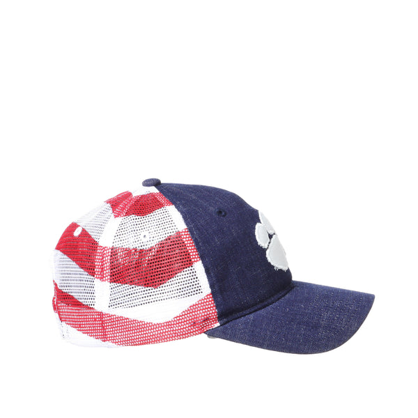 Clemson Tigers Red White and Blue Flag Anthem University Hat